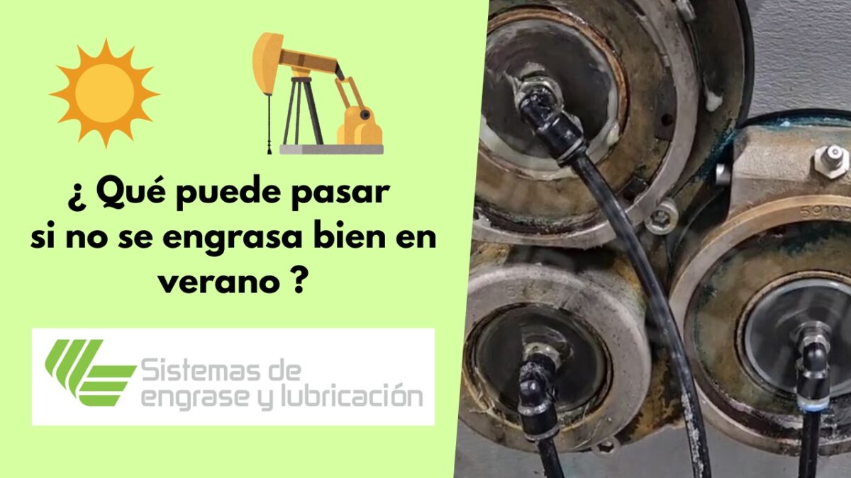 publicación verano 2025