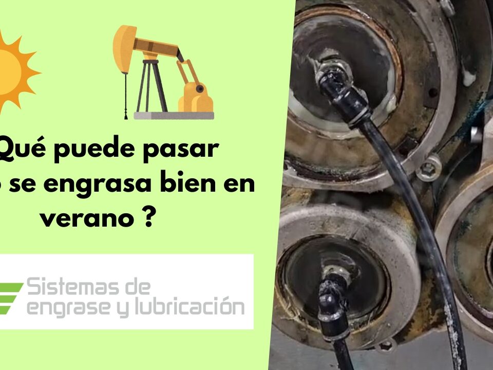 publicación verano 2025